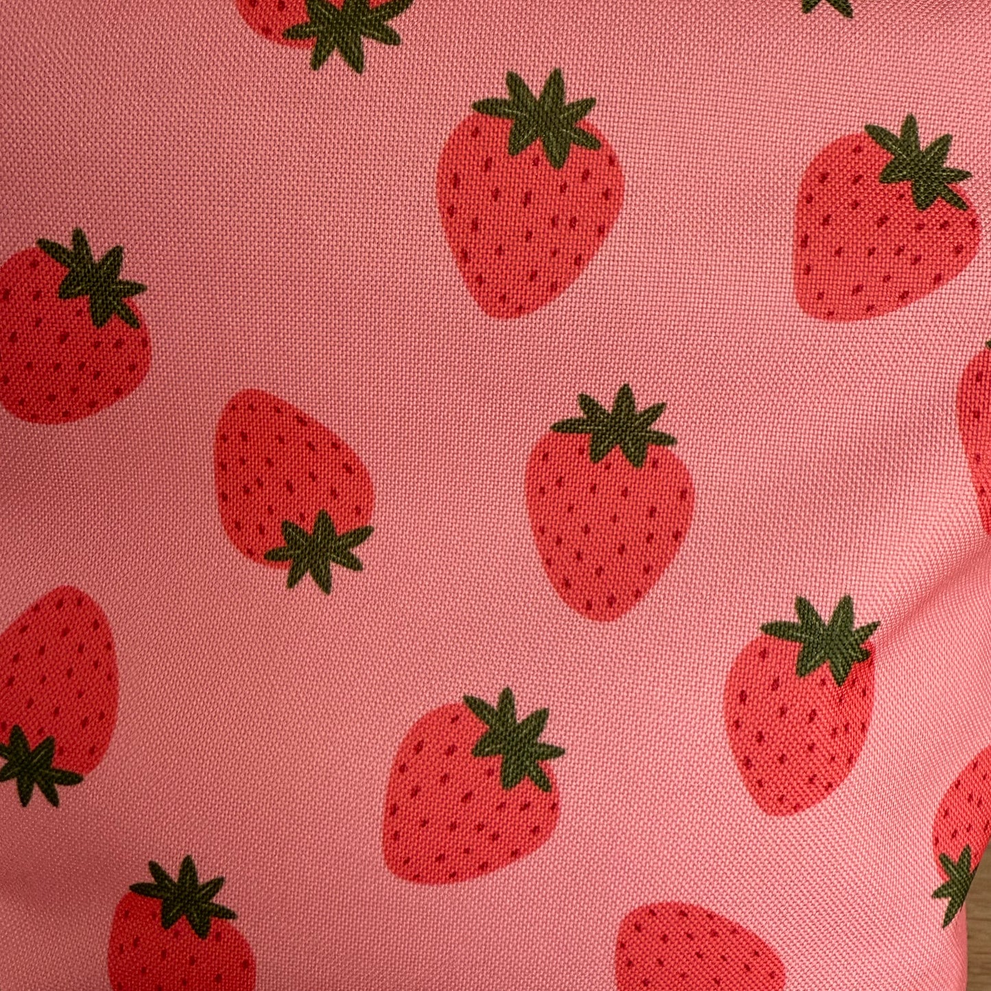 Aquabella "Erdbeere"- Nasstasche/Wetbag -AnniWay/ Limitiert